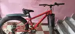 Hydra fat cycle