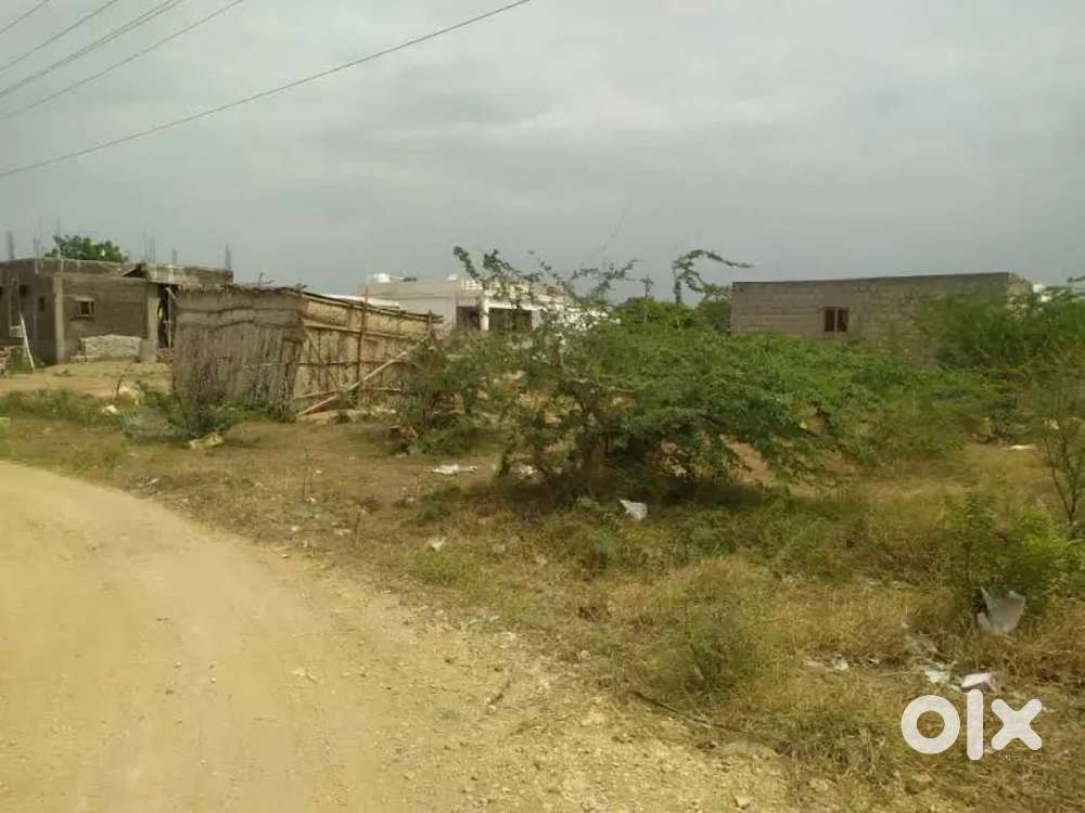 Land at palladam., near murugan temple