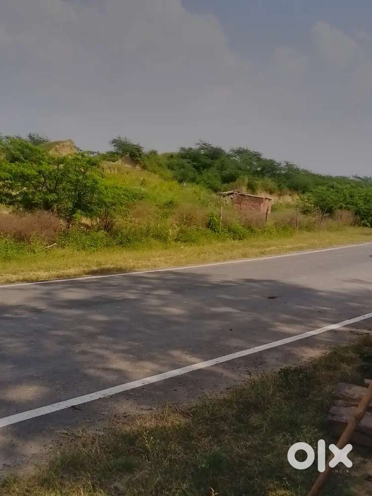 3 biga khet he or pani lait or kothi bani hui he