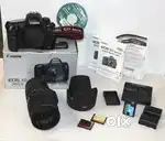 Canon EOS 5D Mark IV & Sigma APO HSM 70-200mm f/2.8 II Lens