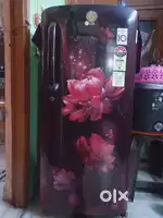 Single door fridge