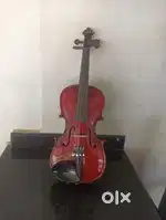 Violin-3 years old