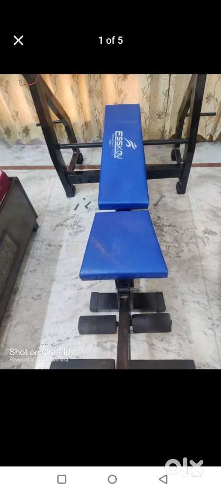 Gym convertible bench,incline, straight,decline +leg extension