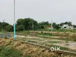Main Dadri Road – 80% Loan वाले Registry Plots