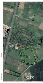 Farm Land in Kammeta