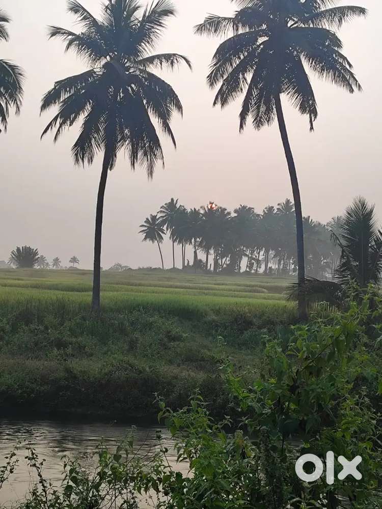 10 acres for rent /leqse near NGO colony