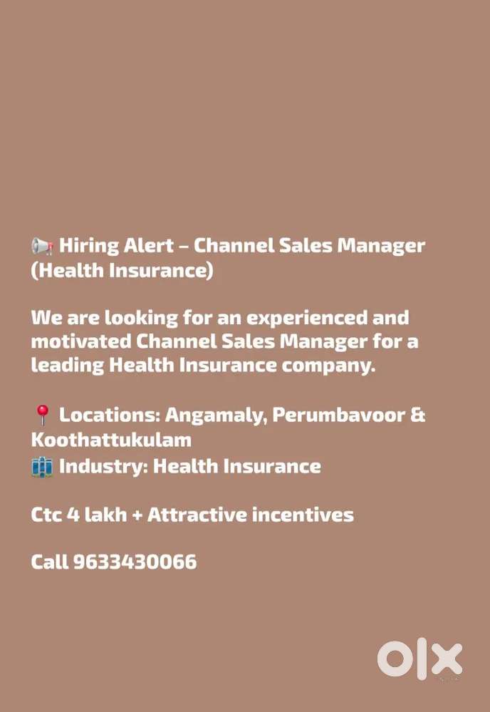 Channel Sales Manager