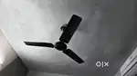 Celling fan