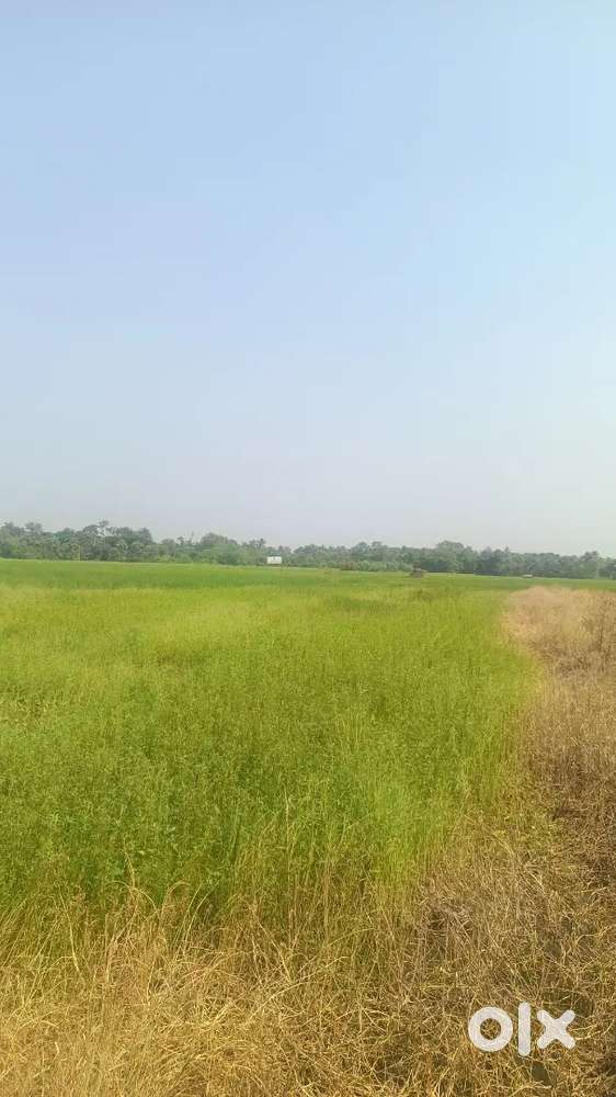 Invest Once but get Return every month. Buy Land & Get reward