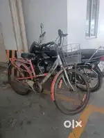 Hero brand lady bicycle peach colour