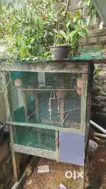 Cage for sale