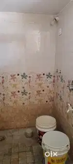 House for rental