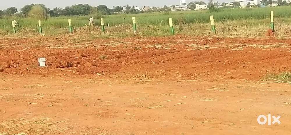 Vijayawada  Near Pathapadu open plots Available