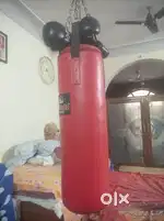 Boxing bag, gloves, chain
