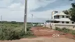 AYYAPAGUDI VIKRAM NAGAR 30 ANKS SITE  30 FEETROAD EXCELLENT PROPERTIE