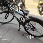 Sting cycle