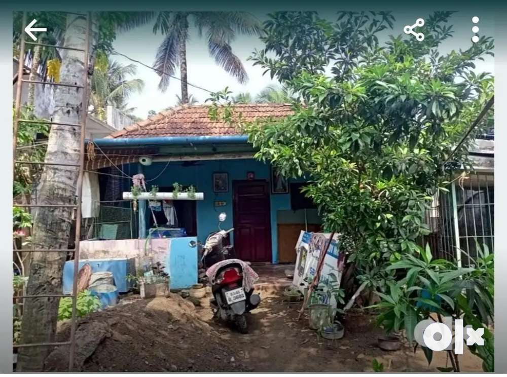 Small house with 3cent, 2 coconut trees, mullatha and chikku tree