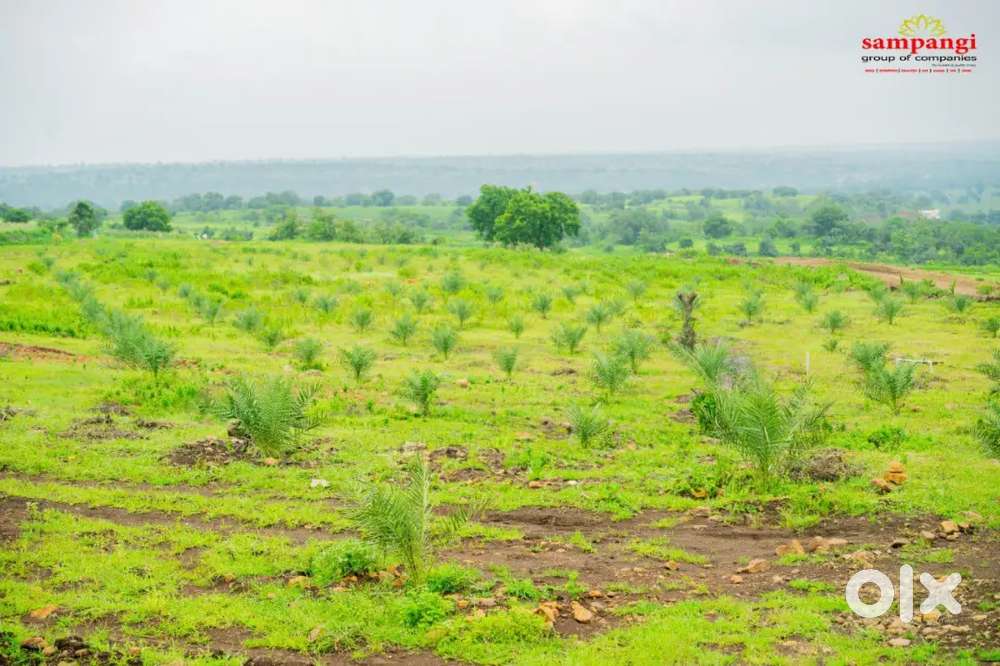 Agricultural Farm Lands