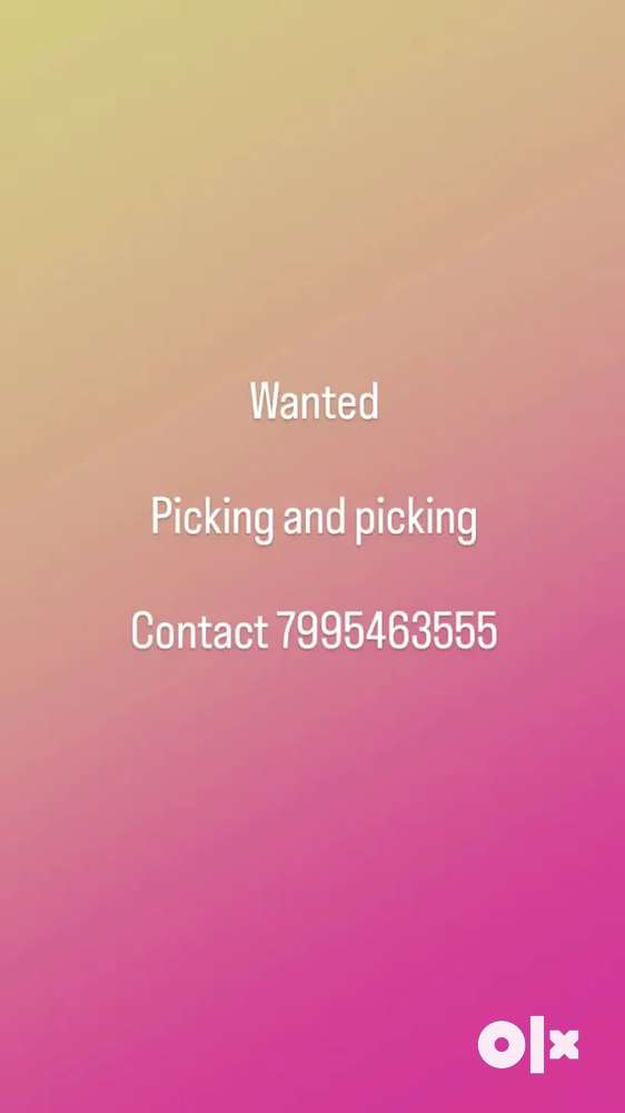 Wanted picking and packing in Nizampet