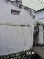 Sele in panjesha adilabad
