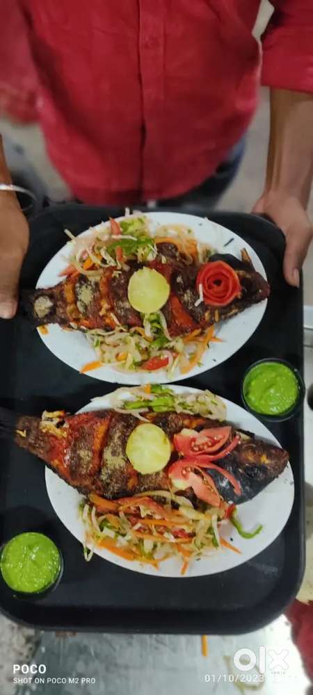 Hlo sir I am All rounder Cook my spilce Dum briyani  All times heldi f