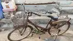Ladies cycle