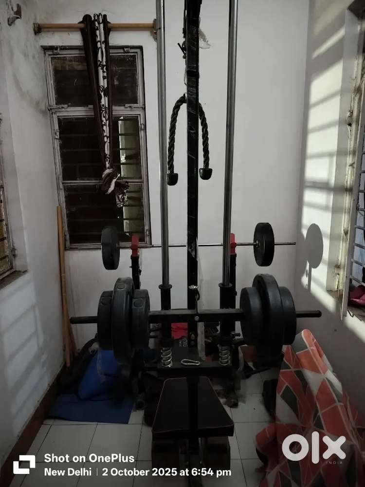 Back chest biceps triceps machine