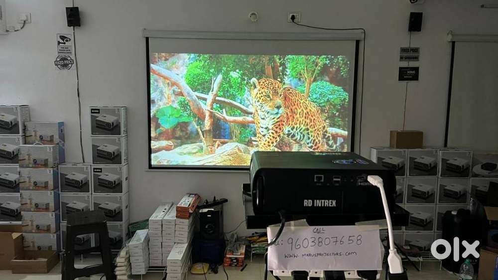 Best NEW quality 4K 3D projectors and screens wall tripod at wholesale