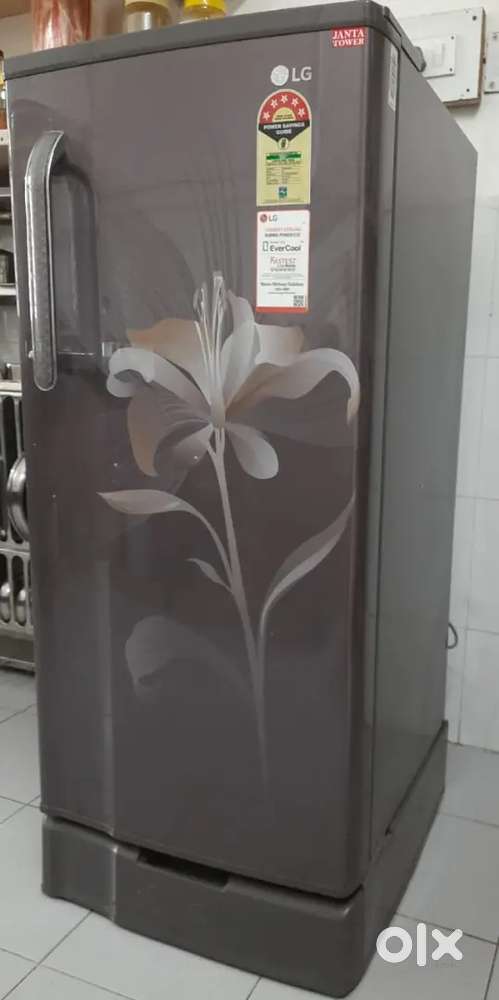 Refrigerator single door