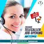 Wanted Tele Callers
