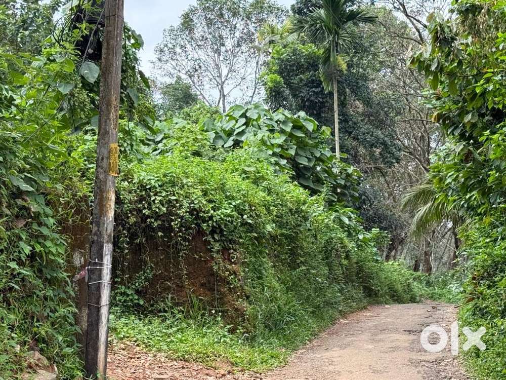 പാലാ - പൊൻകുന്നം റോഡിൽ ,  25 Cent , സ്ഥലം വിൽപ്പനയ്ക്ക്