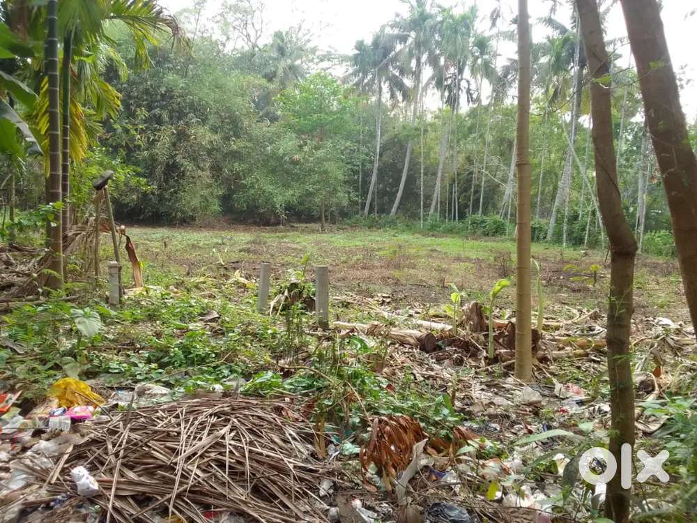 Vacant land ready for sell