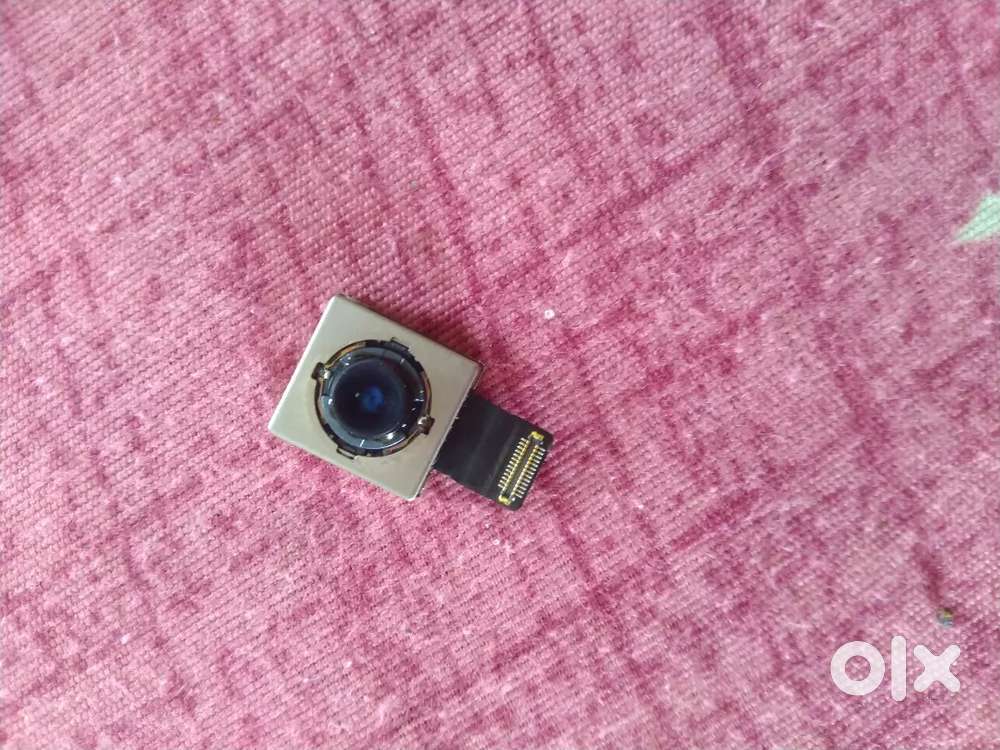 xr  back camera only/-