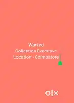 Collection Executive
