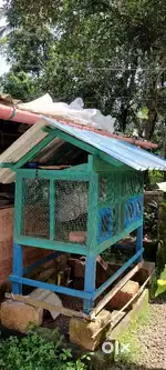 കൂട് വില്പനയ്ക്ക് - CAGE FOR SALE
