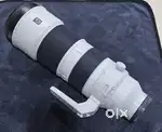 Sony 200-600mm f5.6-6.3 wildlife telephoto zoom lens
