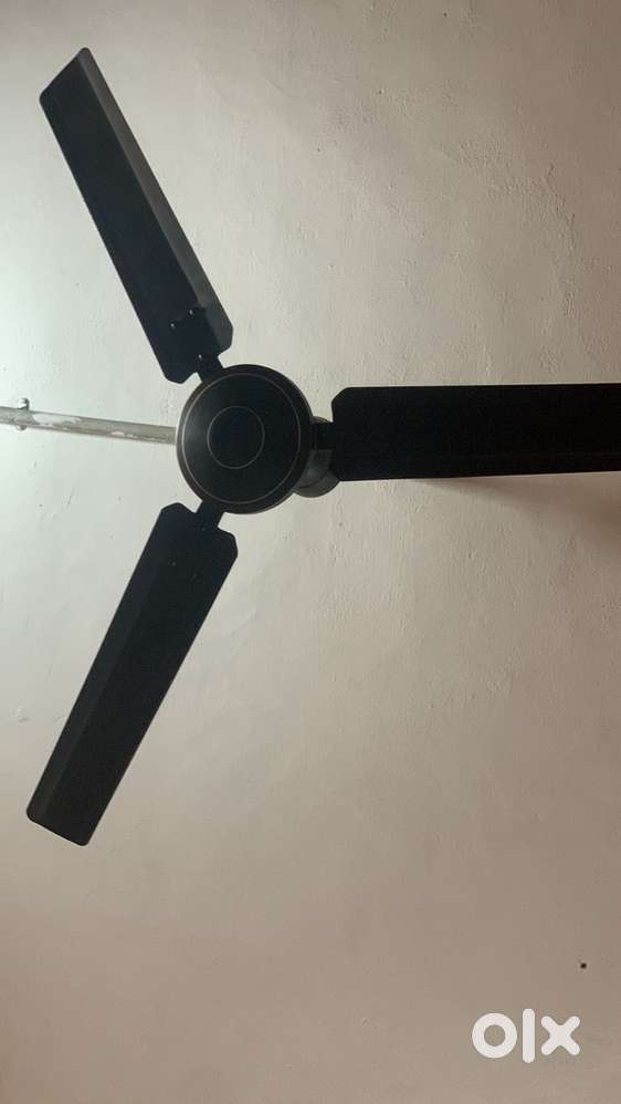 Reo copper fan branded fan