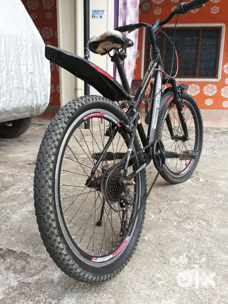 Bla company cycle