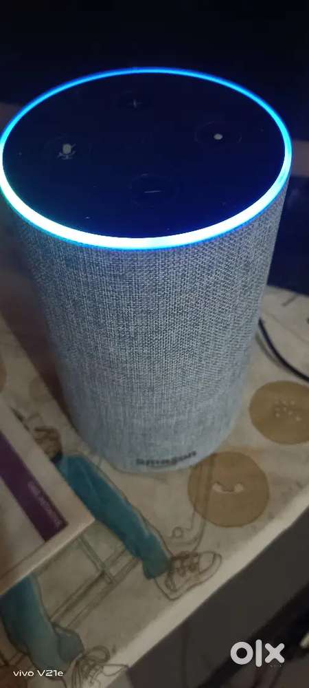 Alexa echo speaker and Sony bluetooth speaker