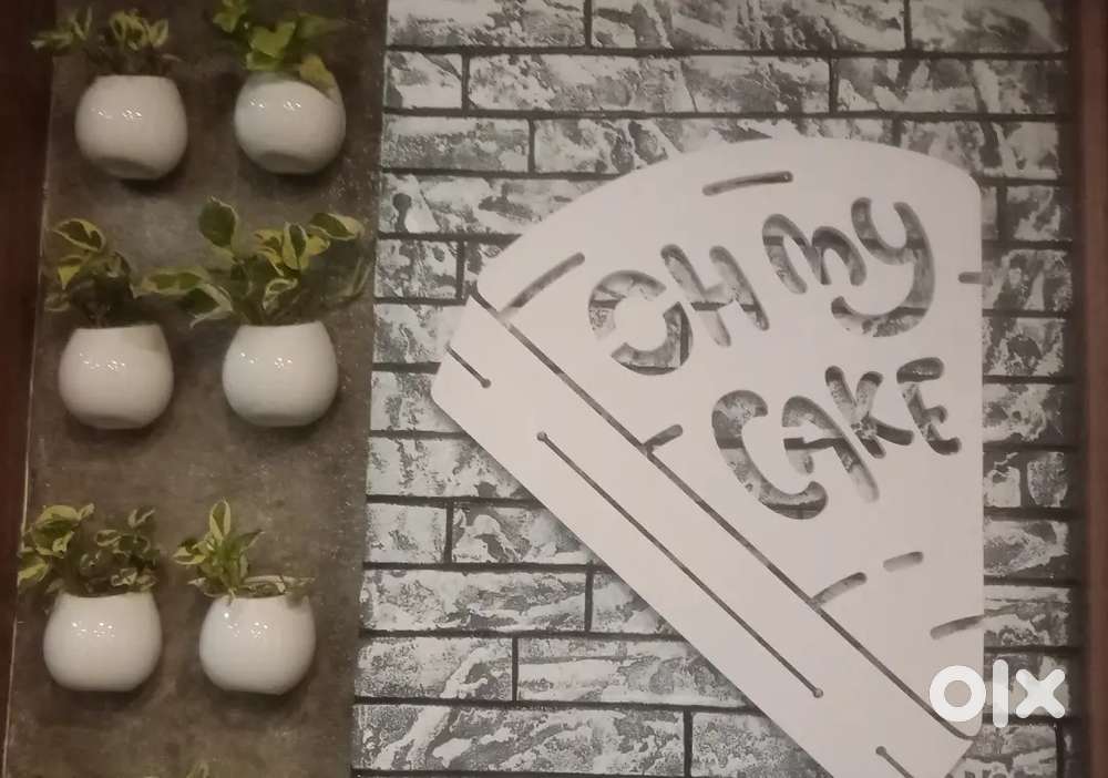 Retail assistant from , outlet assistant manager , outlet manager