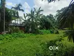 Prime 1.5 Katha land for sale in (Bongora )