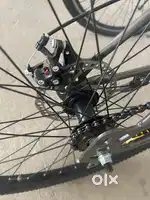 Brand new leader cycle