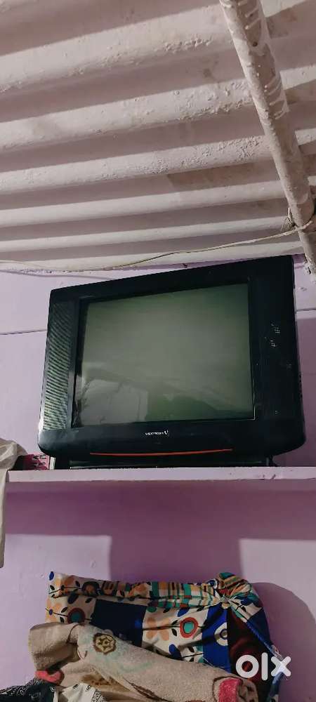 Sansui 2 year old