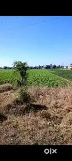 3 bighas land near dewas attach with AB road national highway