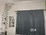 5 brand new window curtains (size - 5*4)