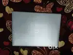 20 day's old only