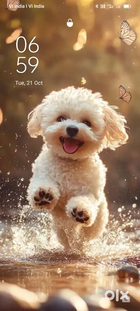 Iam a driver 20 years experience