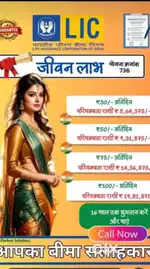 Lic work  for part time' job