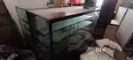 Cooling Display Counters