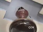 Crompton Brand Ceiling Fan